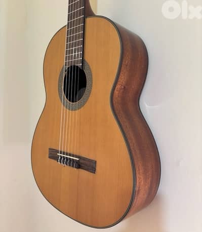 cort guitar