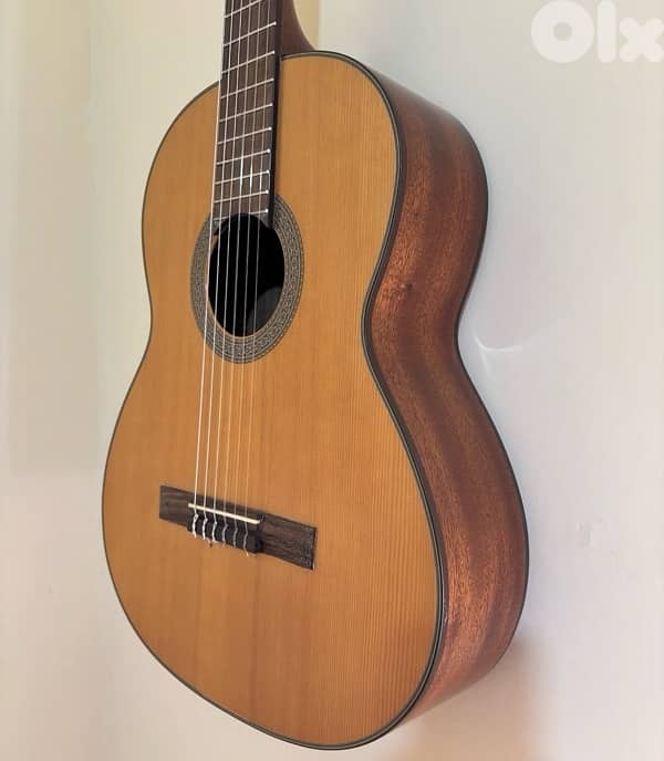 cort guitar 0