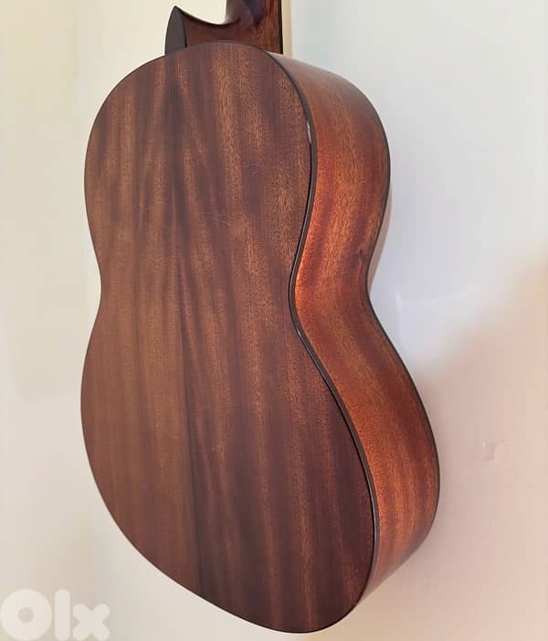 cort guitar 1