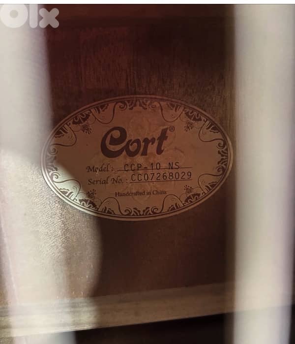 cort guitar 2