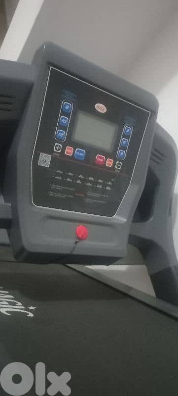treadmill 2