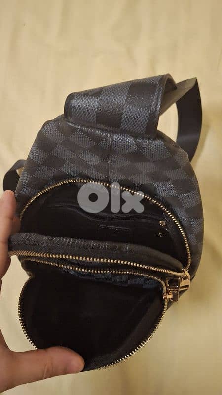 louis vuitton in perfect condition 2