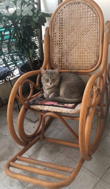BAMBOO ROCKING CHAIR 4