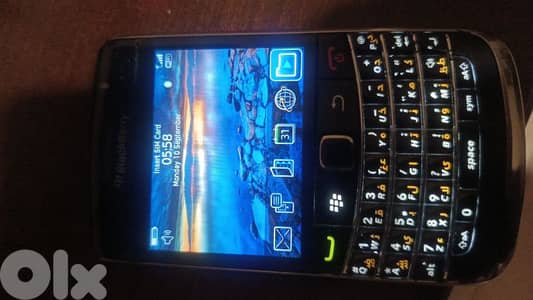 blackberry