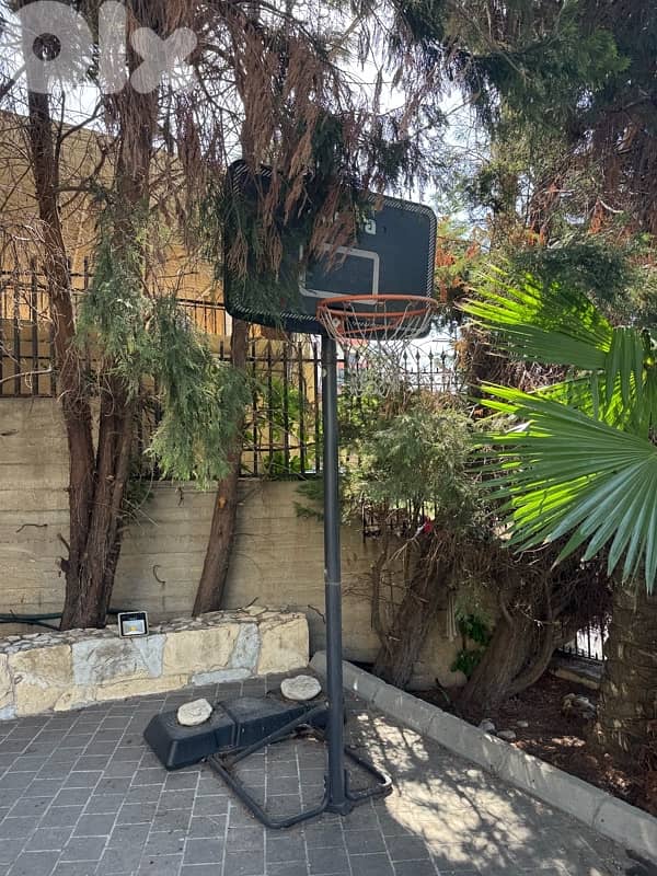 basketball hoop and stand 2