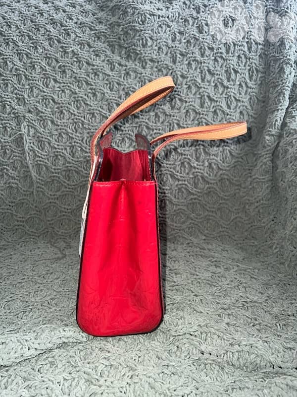 Louis Vuitton Purse 14