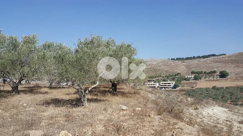 Land for sale in Marjeyoun | أرض للبيع في مرجعيون 6