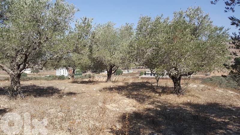Land for sale in Marjeyoun | أرض للبيع في مرجعيون 7