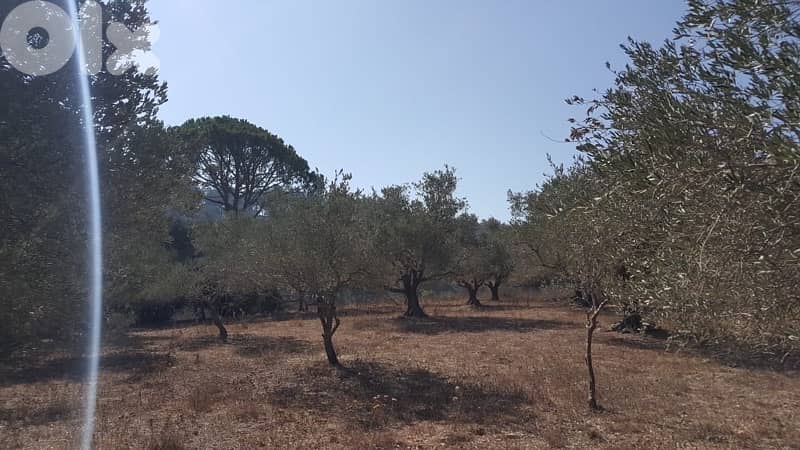 Land for sale in Marjeyoun | أرض للبيع في مرجعيون 8