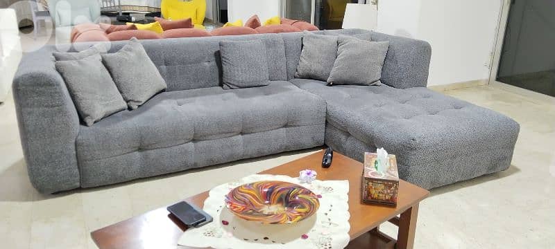 Living room sofa 1