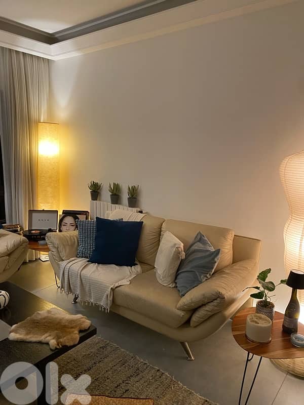 Sofas Salon Living Room 2