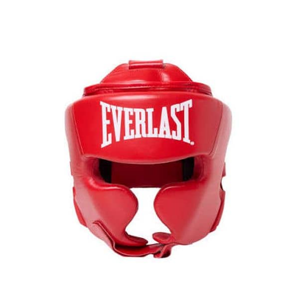 Everylast boxing gloves & head gear 1