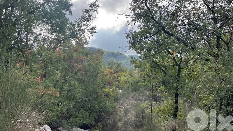 Land for sale in Aannaya- jbeil / ارض للبيع في عنايا جبيل 1
