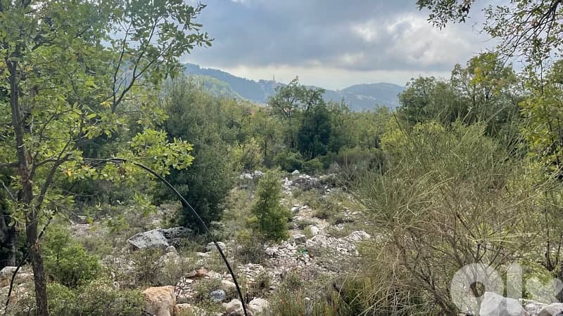 Land for sale in Aannaya- jbeil / ارض للبيع في عنايا جبيل 2