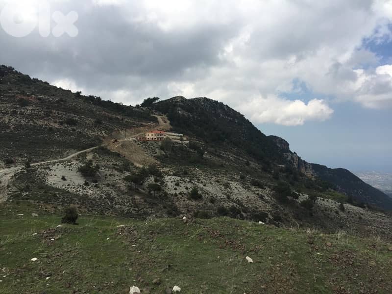 Land in Qnat 1