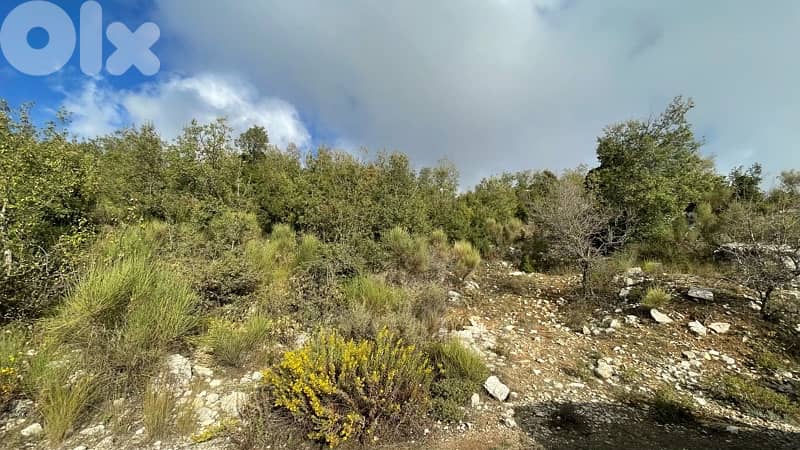 land for sale in mechmech -jbeil عقار للبيع في مشمش جبيل 6