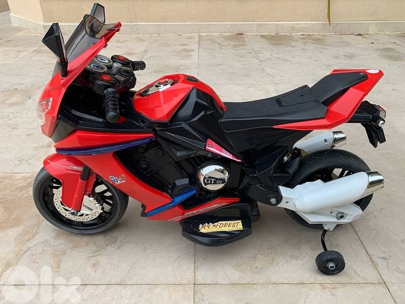 Electric Motorcycle 0