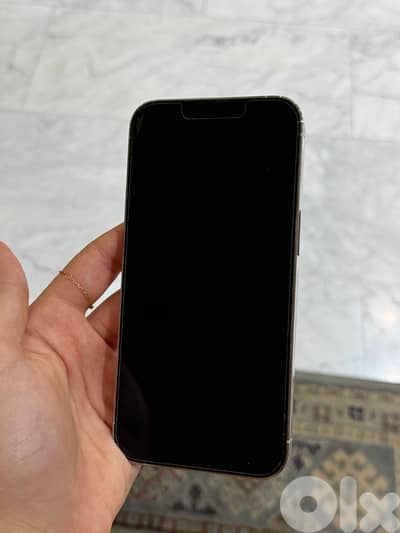 iPhone 13 Pro