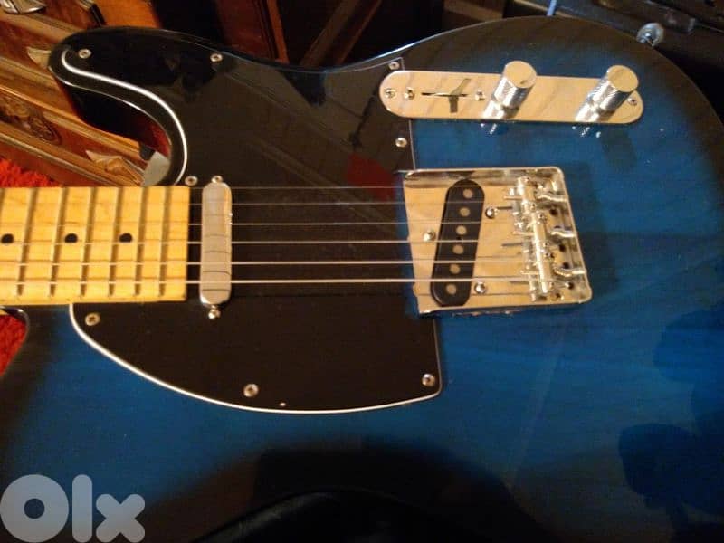 Fender Tex Mex Pickups 3