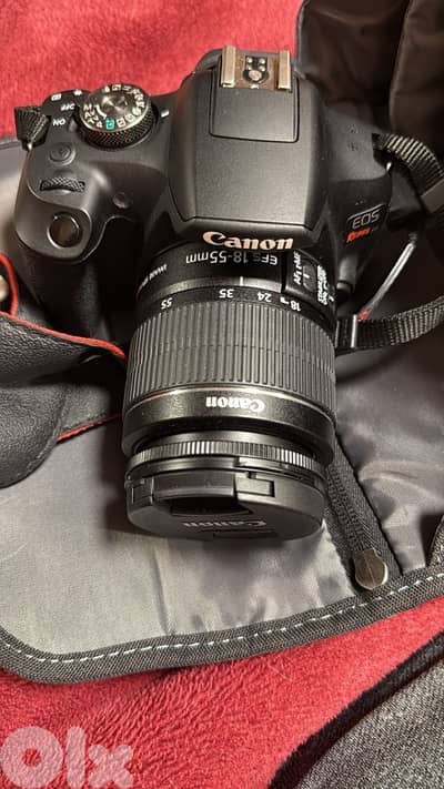 canon eos rt7