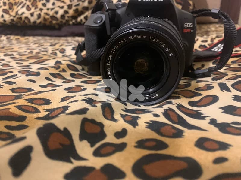 canon eos rt7 2