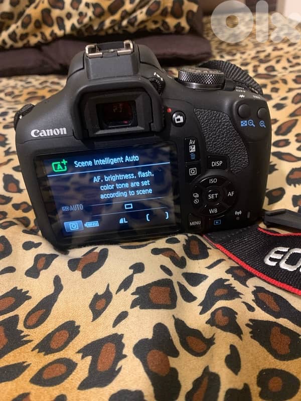 canon eos rt7 3