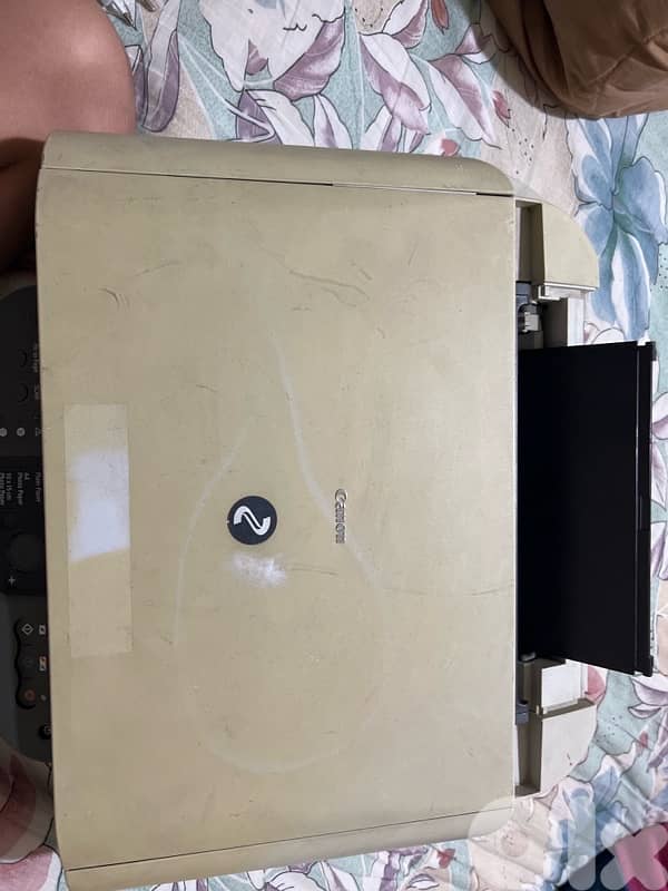 جبل البداوي جانب جامع عوده 0