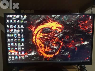 monitor