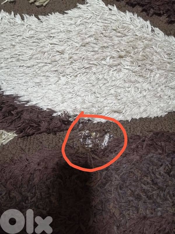 سجاد غرفة نوم وسجاد انتريه 3