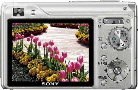 Sony cybershot dsc w-200