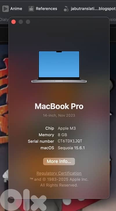 Macbook Pro (2024)