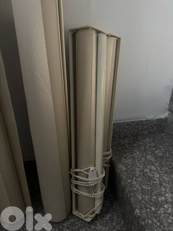 ٨ برادي رول جاهزين 1