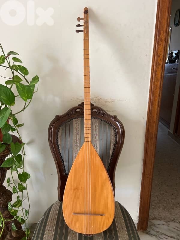 bouzouk - baglama saz instrument 0