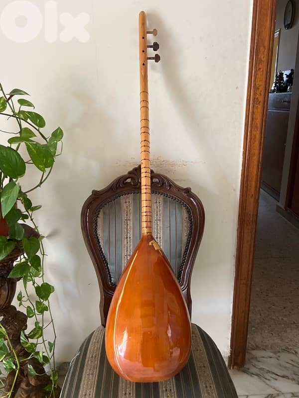 bouzouk - baglama saz instrument 2