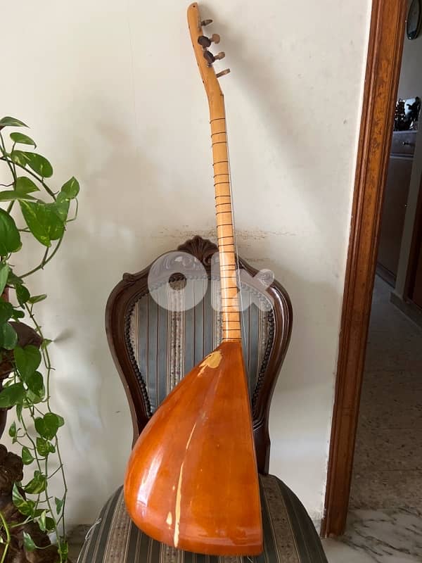 bouzouk - baglama saz instrument 3