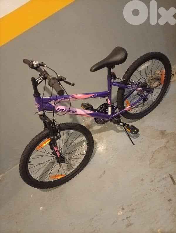 bicycle 1