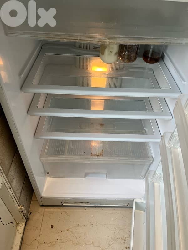 berrad w ghissele w freezer 2