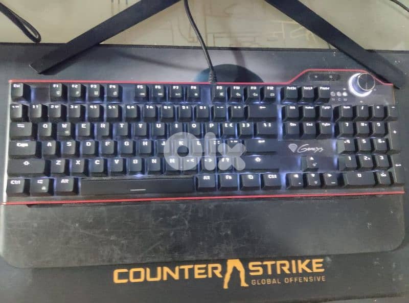 warjina se3rak 3tmed woo mnzbt se3er 2