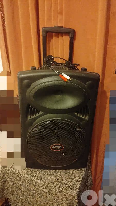 pgst speaker 0