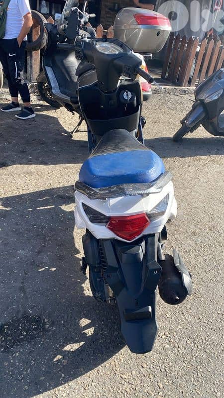 موتسيك لأندي نضيفة 0