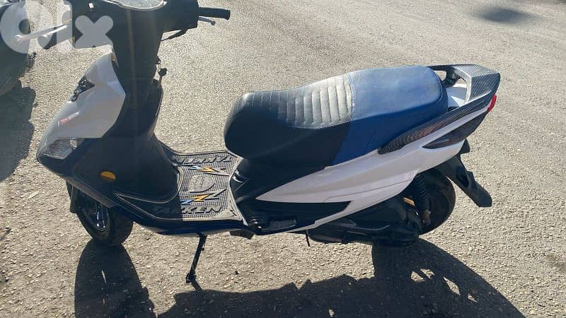 موتسيك لأندي نضيفة 1