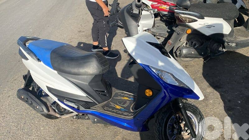 موتسيك لأندي نضيفة 2