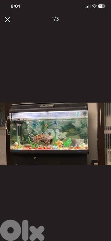 Aquarium
