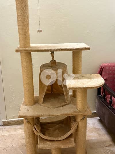 Cat Scratcher - 3 levels