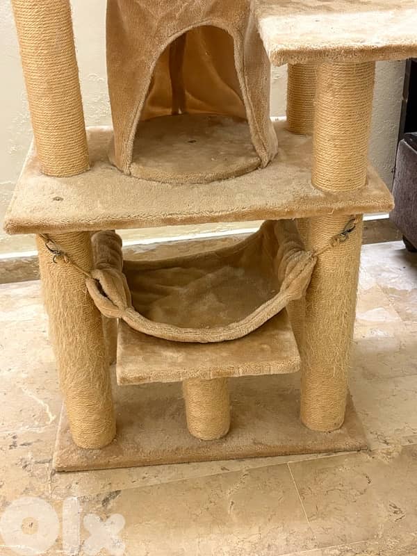 Cat Scratcher - 3 levels 1
