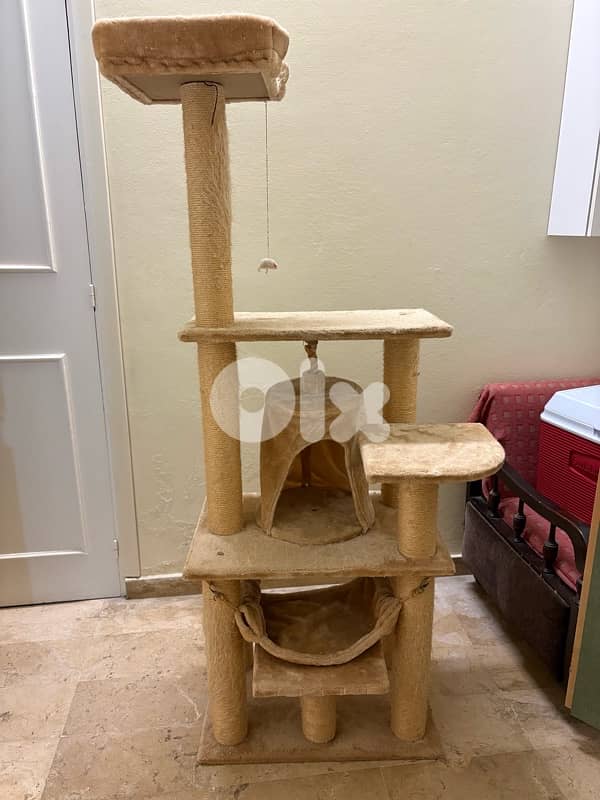 Cat Scratcher - 3 levels 2