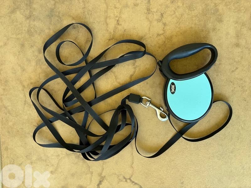 Dog Retractable Leash 1