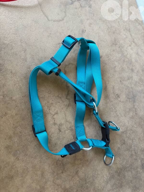 Dog Harness - Big size 0