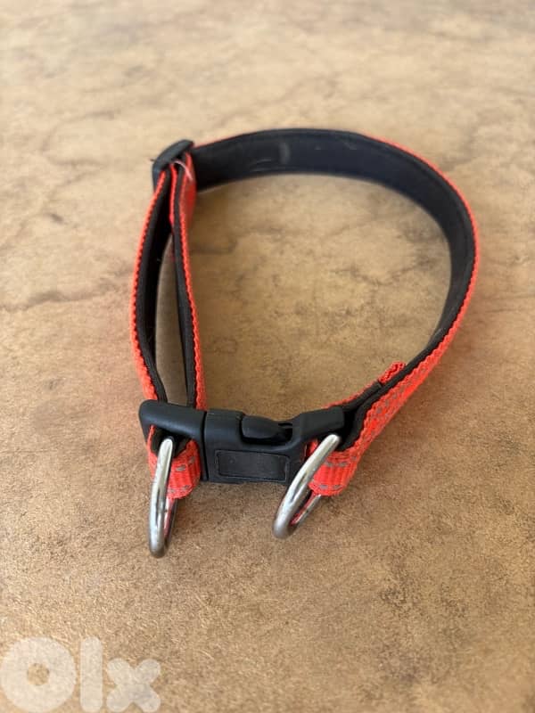Dog Collar - Adjustable 0