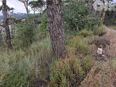 1000m2 Land in Douar,metn (talet tamraz)